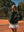 Dreamer Varsity Jacket